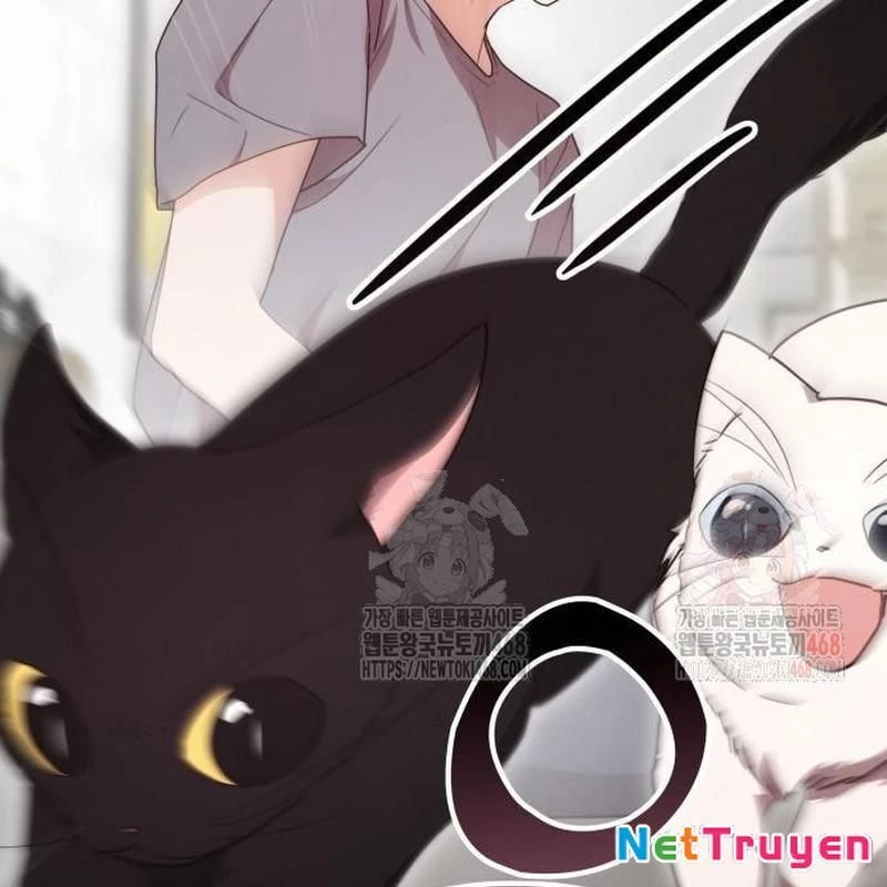 Studio Tùy Hứng Của Nghệ Sĩ Thiên Tài Chapter 90 - 151
