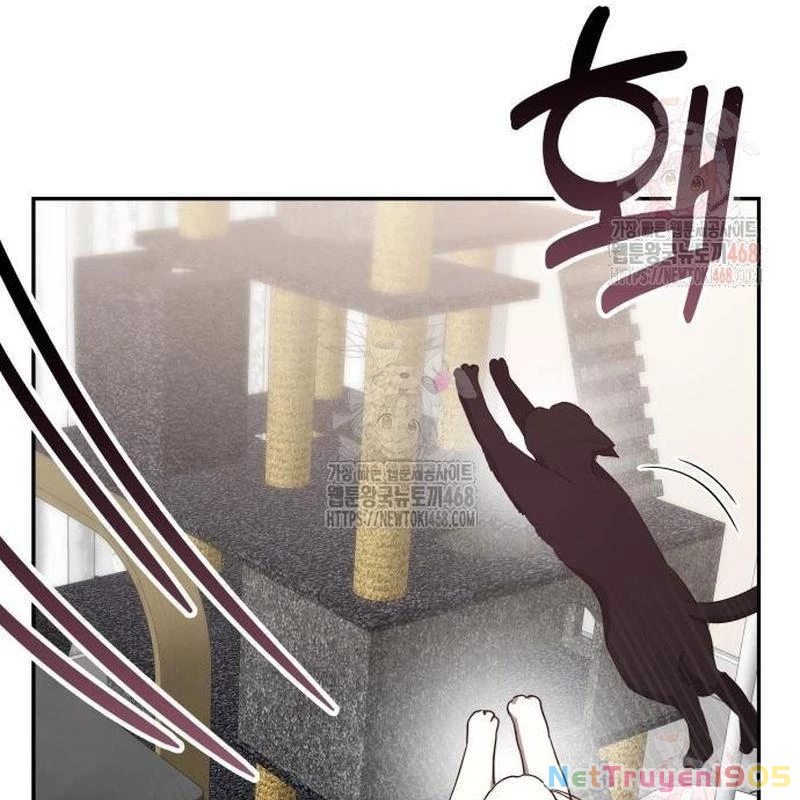 Studio Tùy Hứng Của Nghệ Sĩ Thiên Tài Chapter 90 - 153