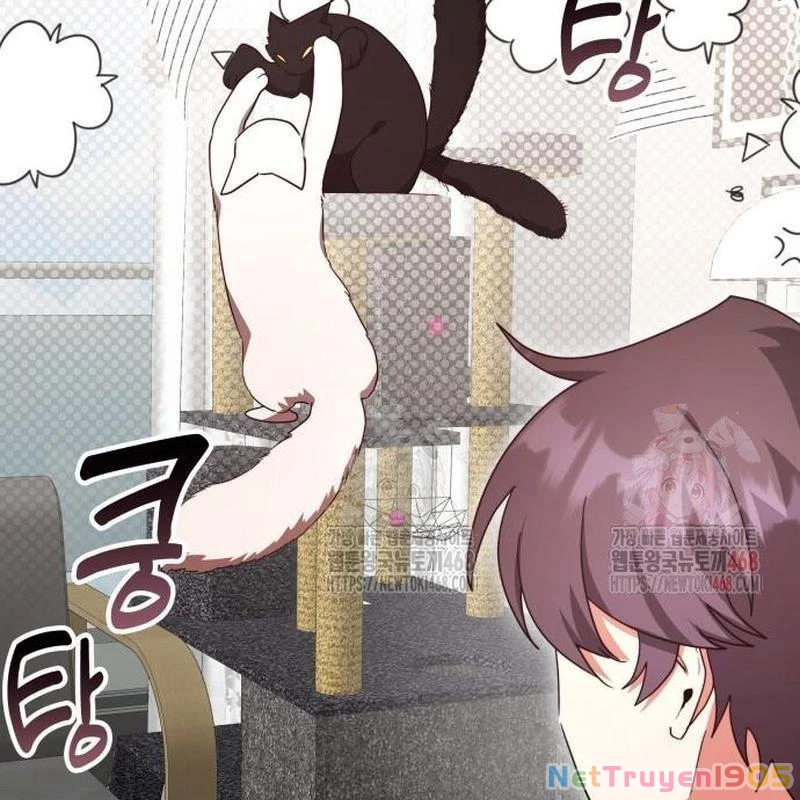 Studio Tùy Hứng Của Nghệ Sĩ Thiên Tài Chapter 90 - 155