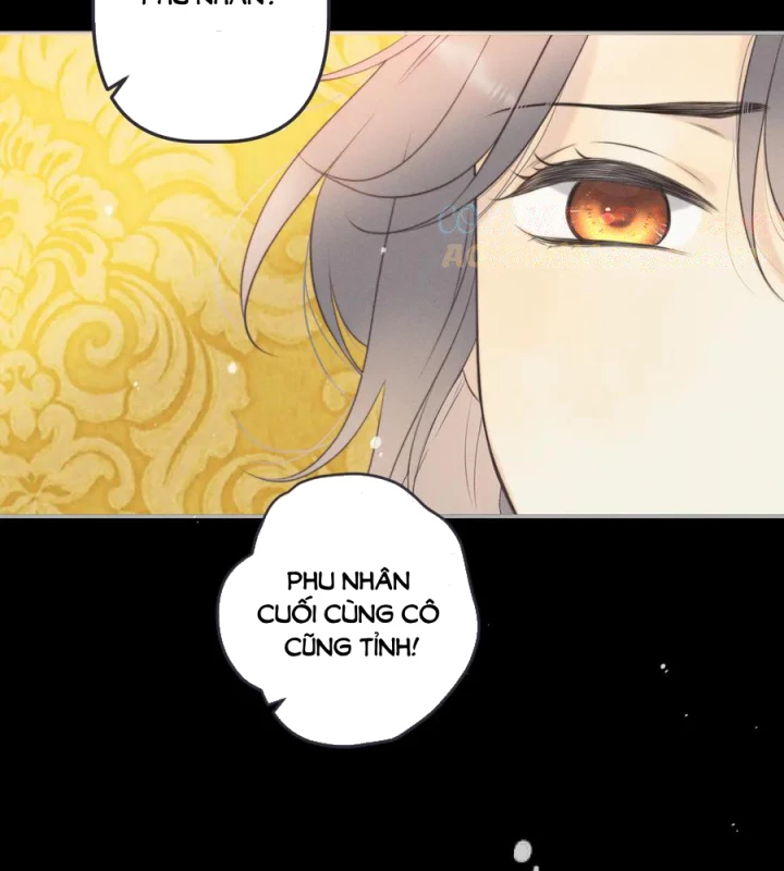 Lâu Tiểu Thư, Lại Gặp Nhau Rồi Chapter 149 - 11