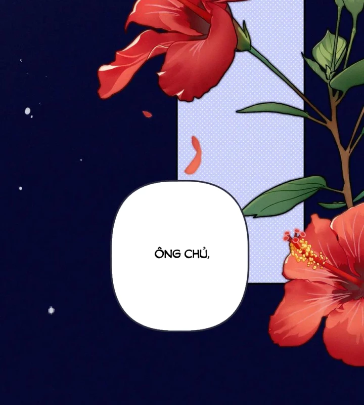 Lâu Tiểu Thư, Lại Gặp Nhau Rồi Chapter 151 - 38