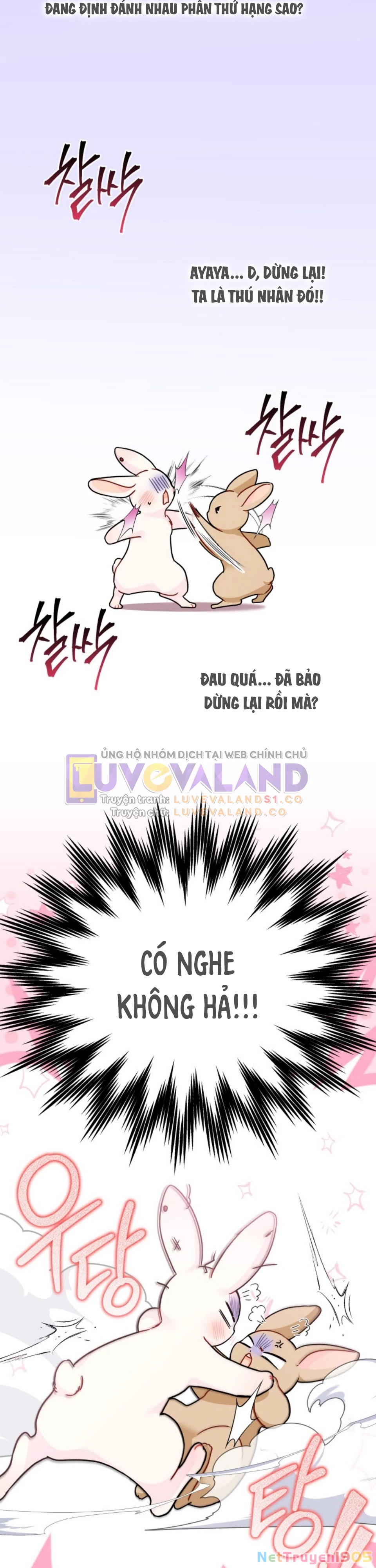 Mối Liên Kết Giữa Báo Đen Và Bé Thỏ Chapter 155 - 21