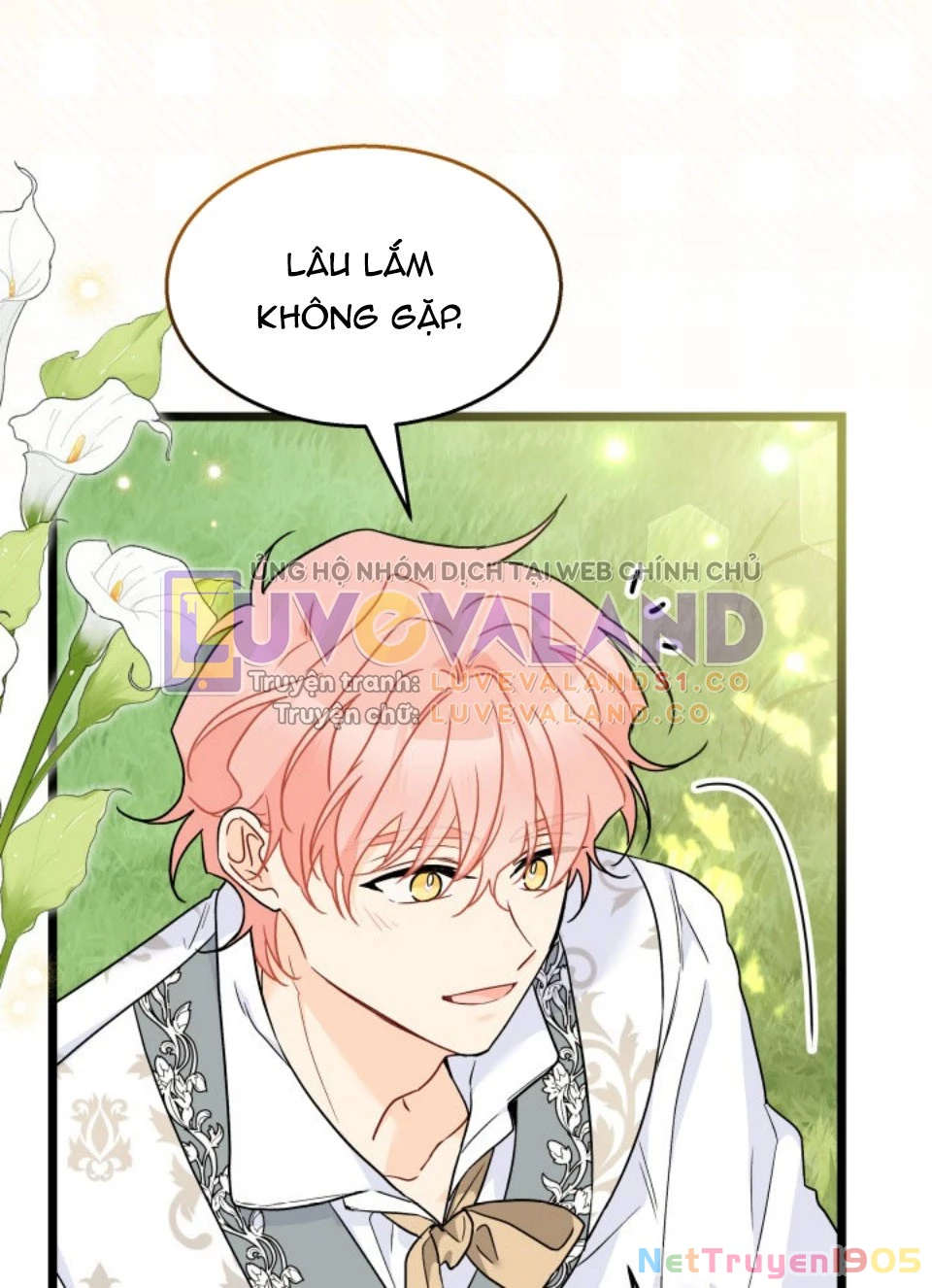 Mối Liên Kết Giữa Báo Đen Và Bé Thỏ Chapter 155 - 24