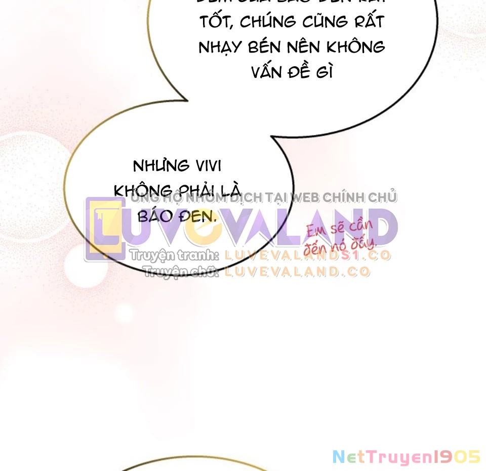Mối Liên Kết Giữa Báo Đen Và Bé Thỏ Chapter 157 - 8