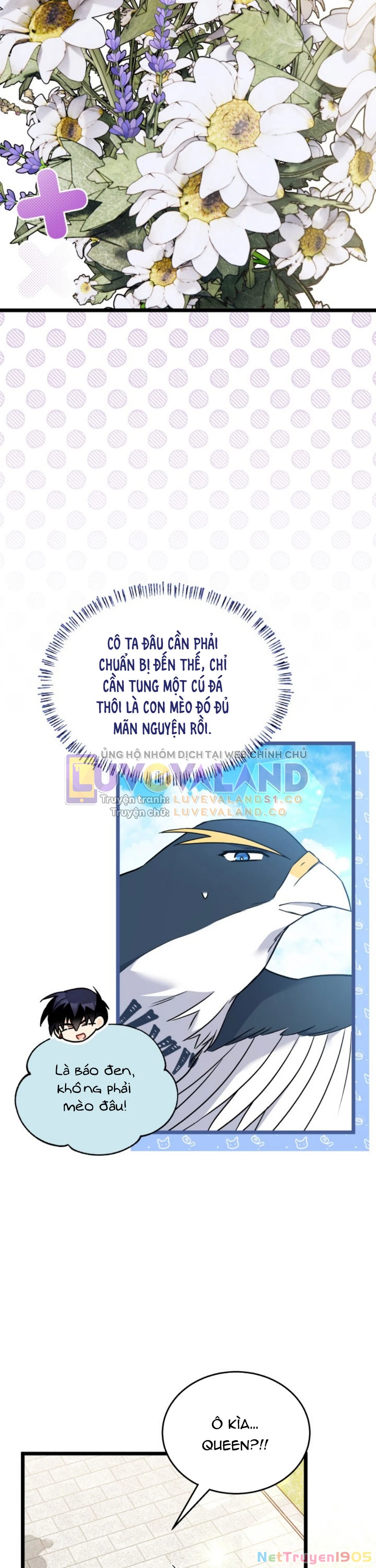 Mối Liên Kết Giữa Báo Đen Và Bé Thỏ Chapter 159 - 36