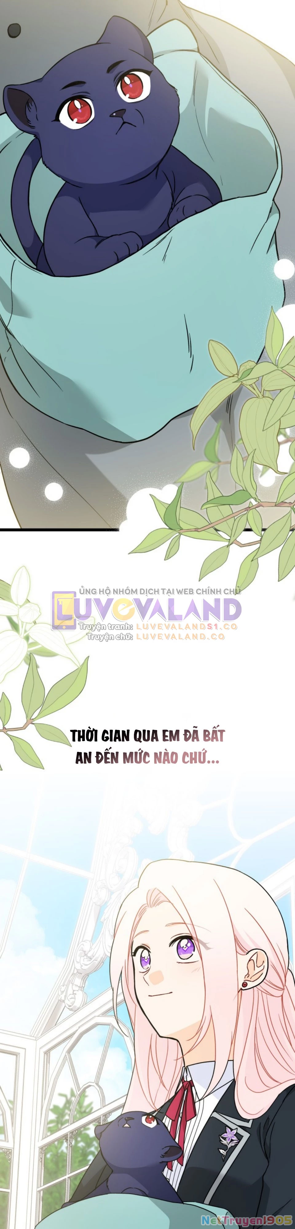 Mối Liên Kết Giữa Báo Đen Và Bé Thỏ Chapter 163 - 4