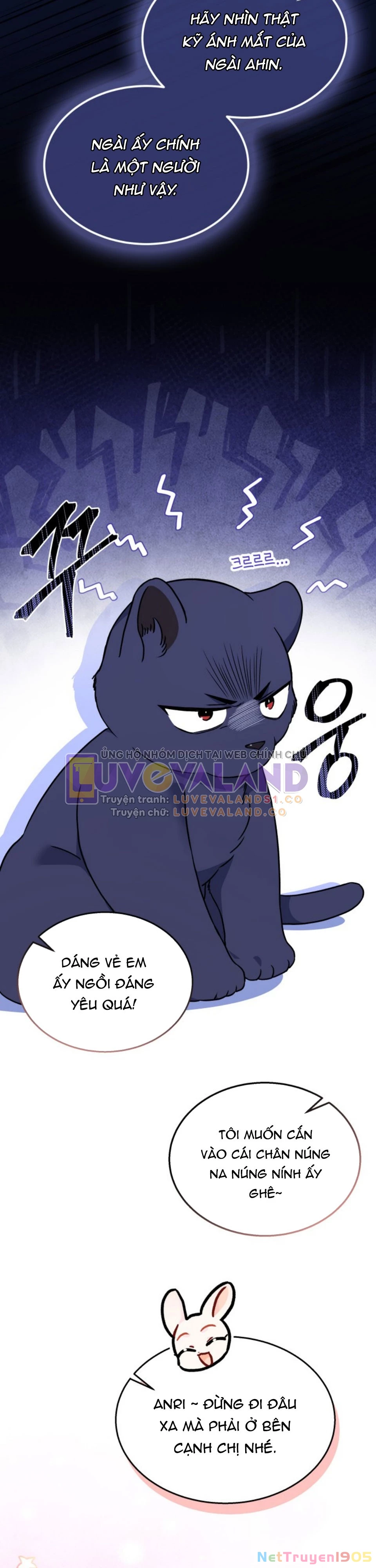 Mối Liên Kết Giữa Báo Đen Và Bé Thỏ Chapter 163 - 14