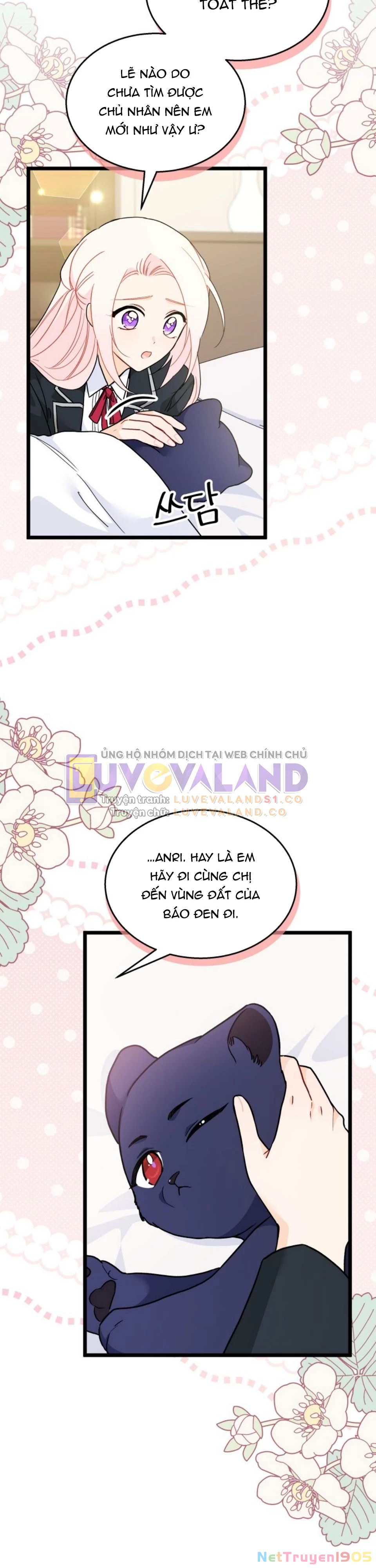 Mối Liên Kết Giữa Báo Đen Và Bé Thỏ Chapter 165 - 16