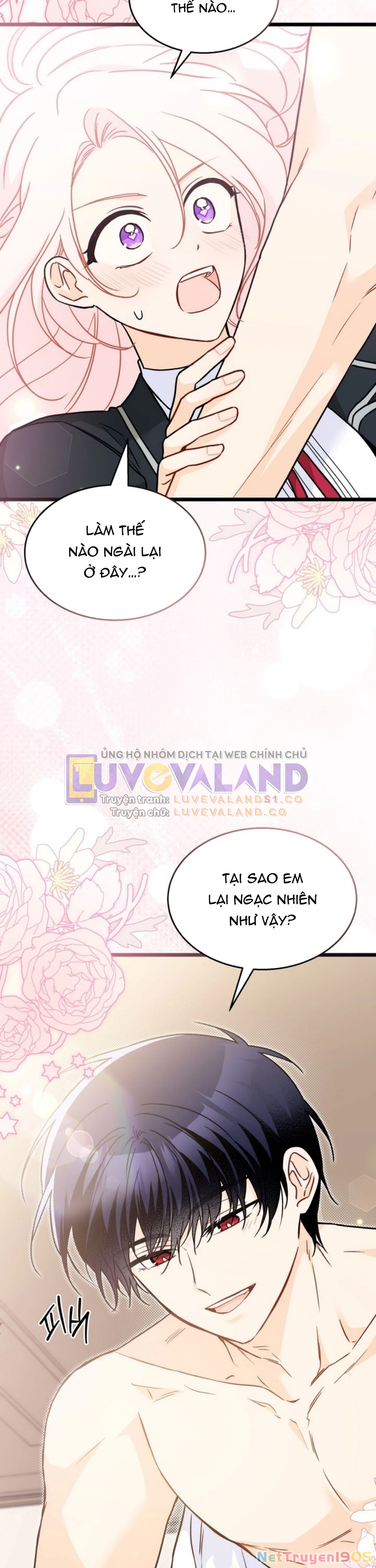 Mối Liên Kết Giữa Báo Đen Và Bé Thỏ Chapter 165 - 24