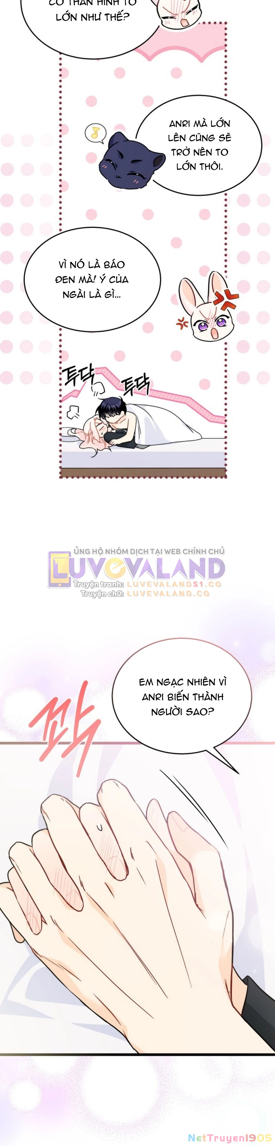 Mối Liên Kết Giữa Báo Đen Và Bé Thỏ Chapter 165 - 26