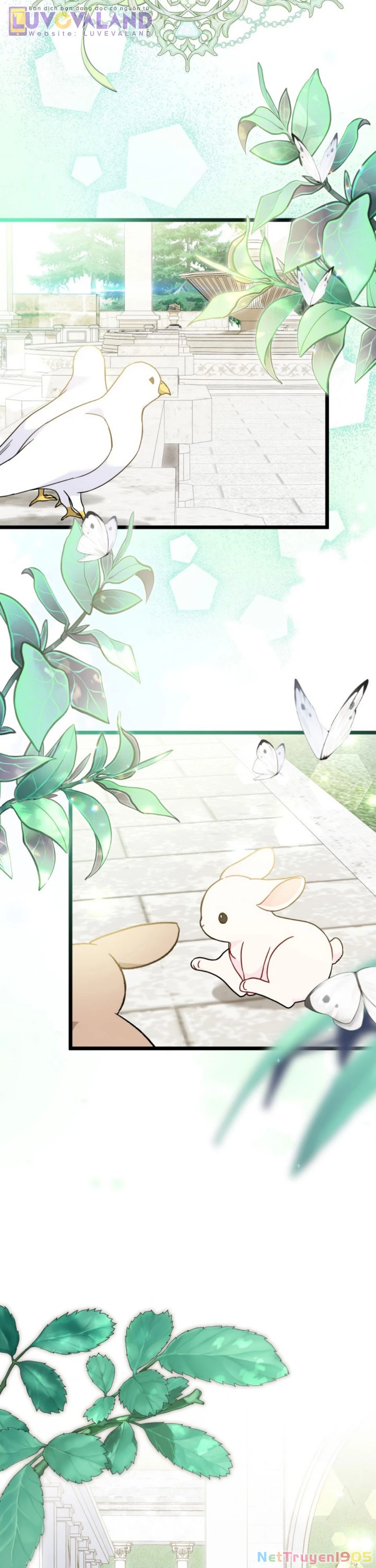 Mối Liên Kết Giữa Báo Đen Và Bé Thỏ Chapter 171 - 2