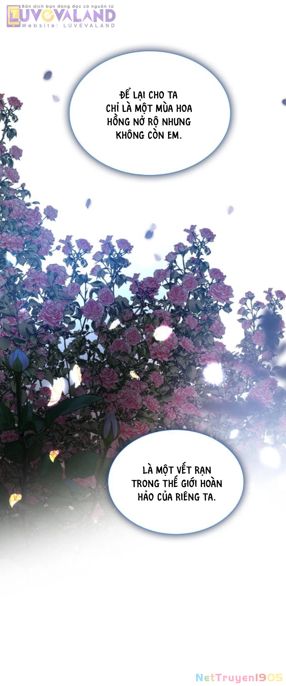 Hãy Khóc Và Cầu Nguyện Đi Chapter 51 - Trang 2
