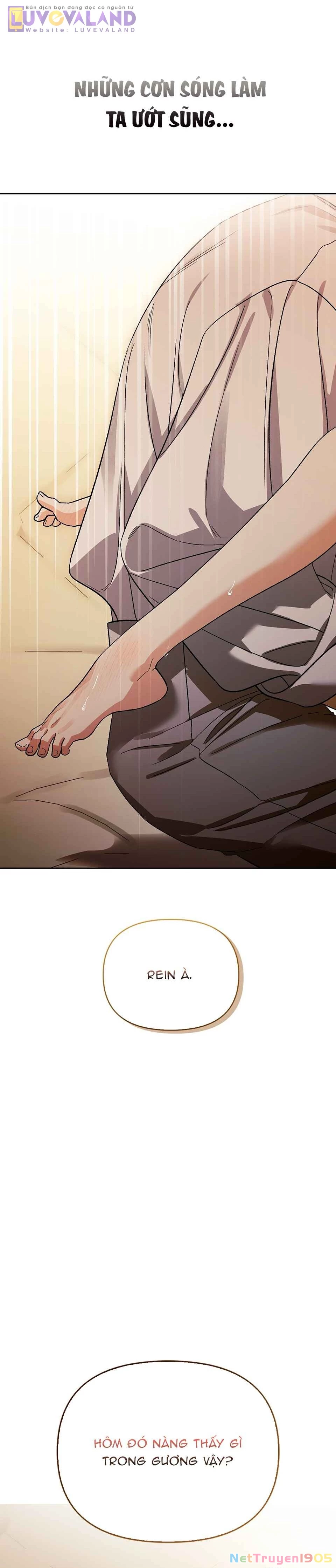 Tôi Thuần Hóa Chó Điên Của Chồng Cũ Chapter 105 - 4