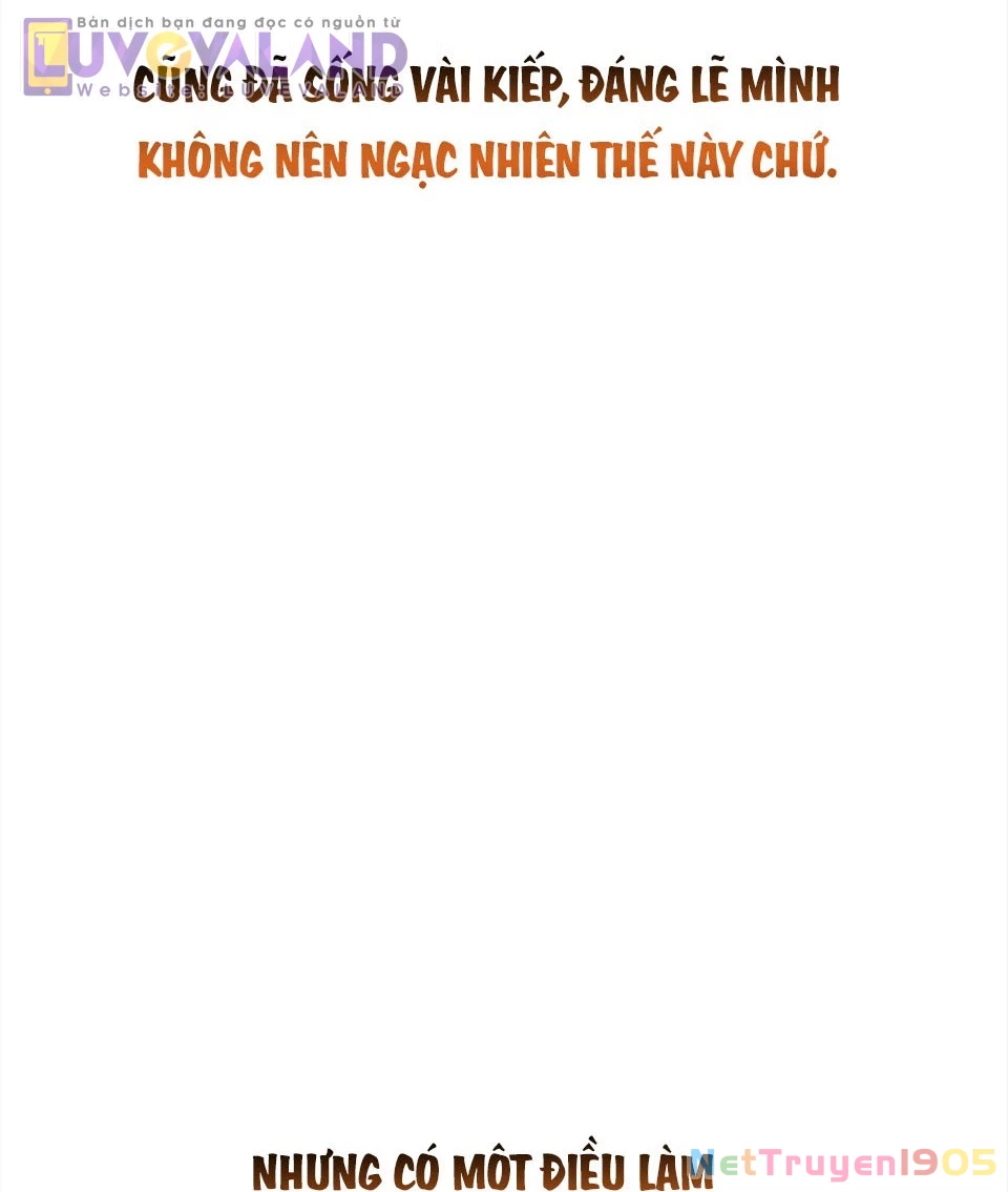 Tôi Thuần Hóa Chó Điên Của Chồng Cũ Chapter 111 - 13