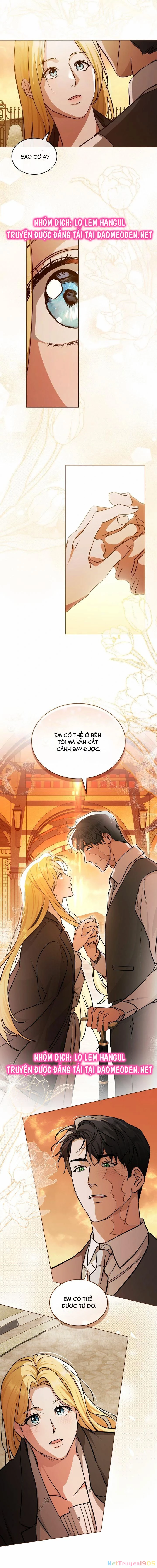 Sự Chuộc Lỗi Của Bá Tước Nottingham Chapter 51 - 11