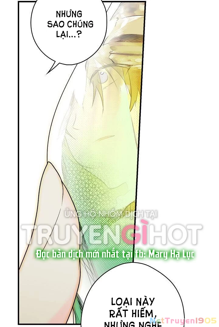 Quý Cô Bí Ẩn - Secret Lady Chapter 15 - 19