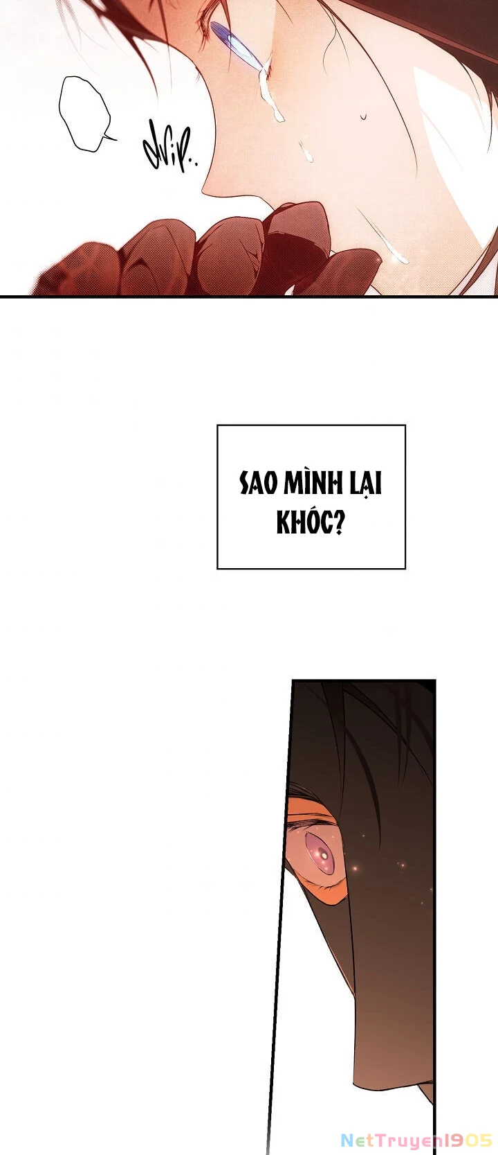 Quý Cô Bí Ẩn - Secret Lady Chapter 19 - 69