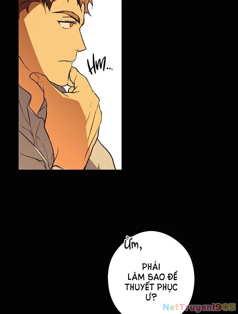Quý Cô Bí Ẩn - Secret Lady Chapter 28 - 17