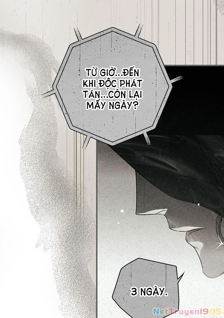 Quý Cô Bí Ẩn - Secret Lady Chapter 33 - 17
