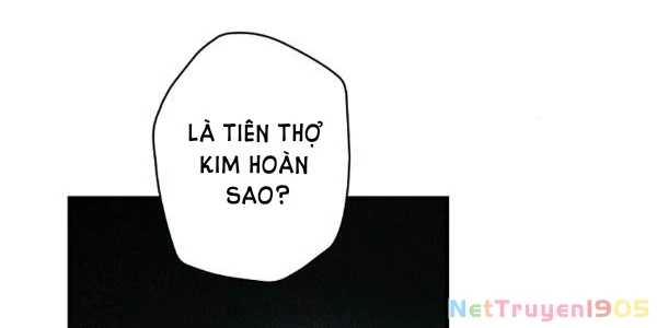 Quý Cô Bí Ẩn - Secret Lady Chapter 34 - 86