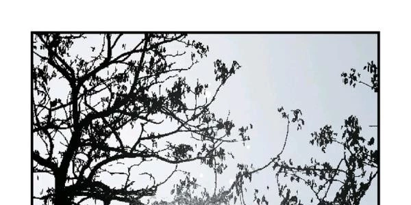 Quý Cô Bí Ẩn - Secret Lady Chapter 35 - 222