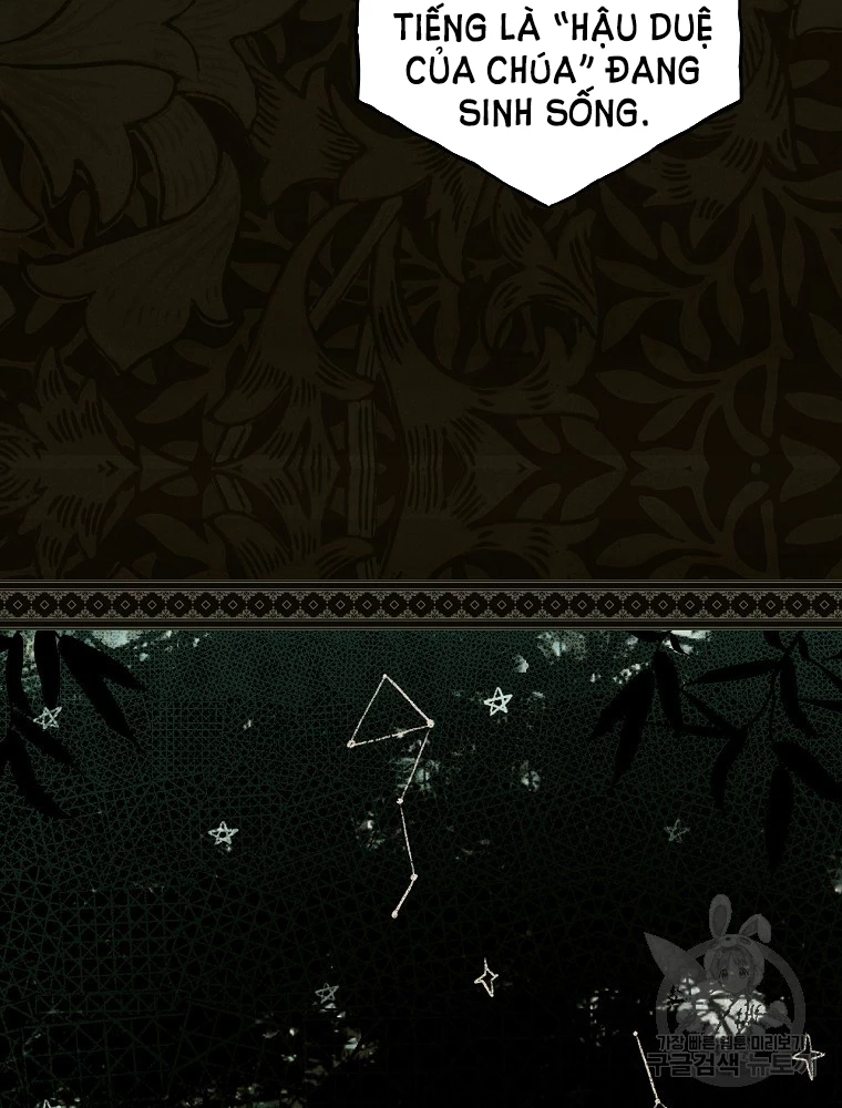 Quý Cô Bí Ẩn - Secret Lady Chapter 48 - 42