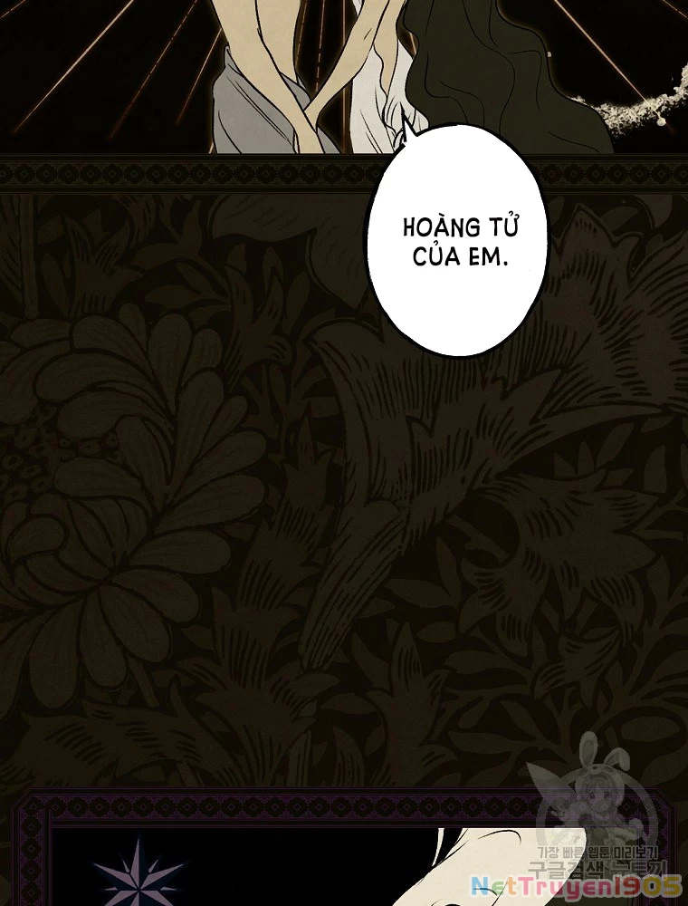 Quý Cô Bí Ẩn - Secret Lady Chapter 48 - 67