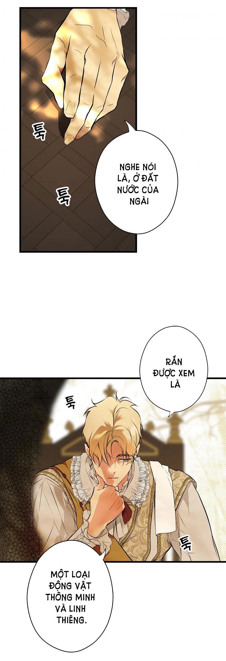 Quý Cô Bí Ẩn - Secret Lady Chapter 55 - 27