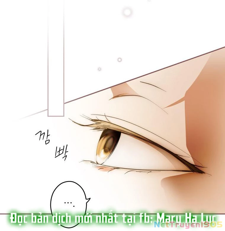 Quý Cô Bí Ẩn - Secret Lady Chapter 65.2 - 29