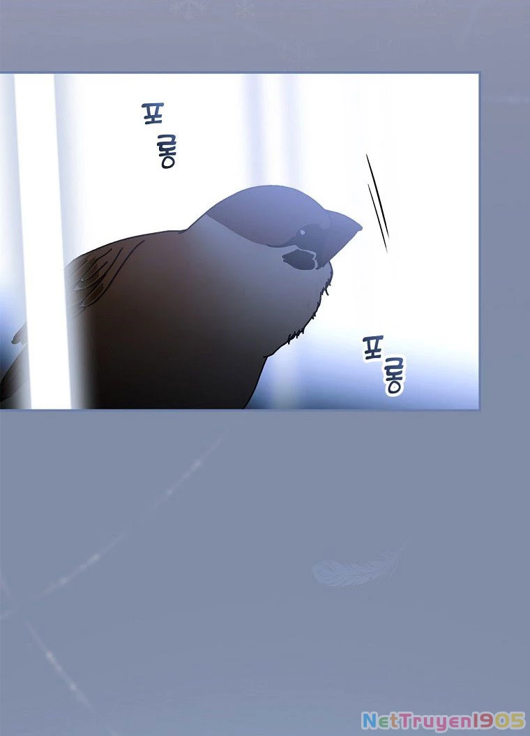 Quý Cô Bí Ẩn - Secret Lady Chapter 72.2 - 25