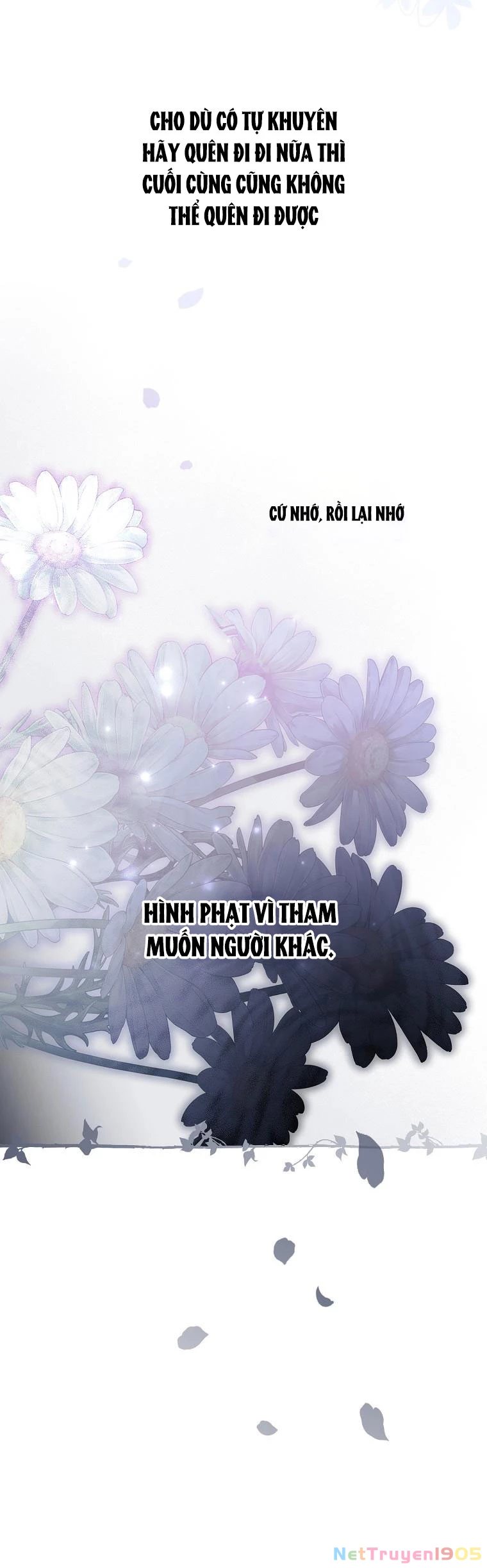 Quý Cô Bí Ẩn - Secret Lady Chapter 73.2 - 55