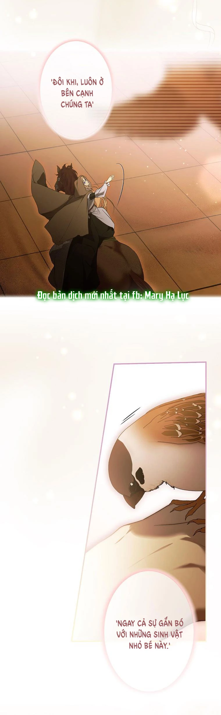 Quý Cô Bí Ẩn - Secret Lady Chapter 77.2 - 12