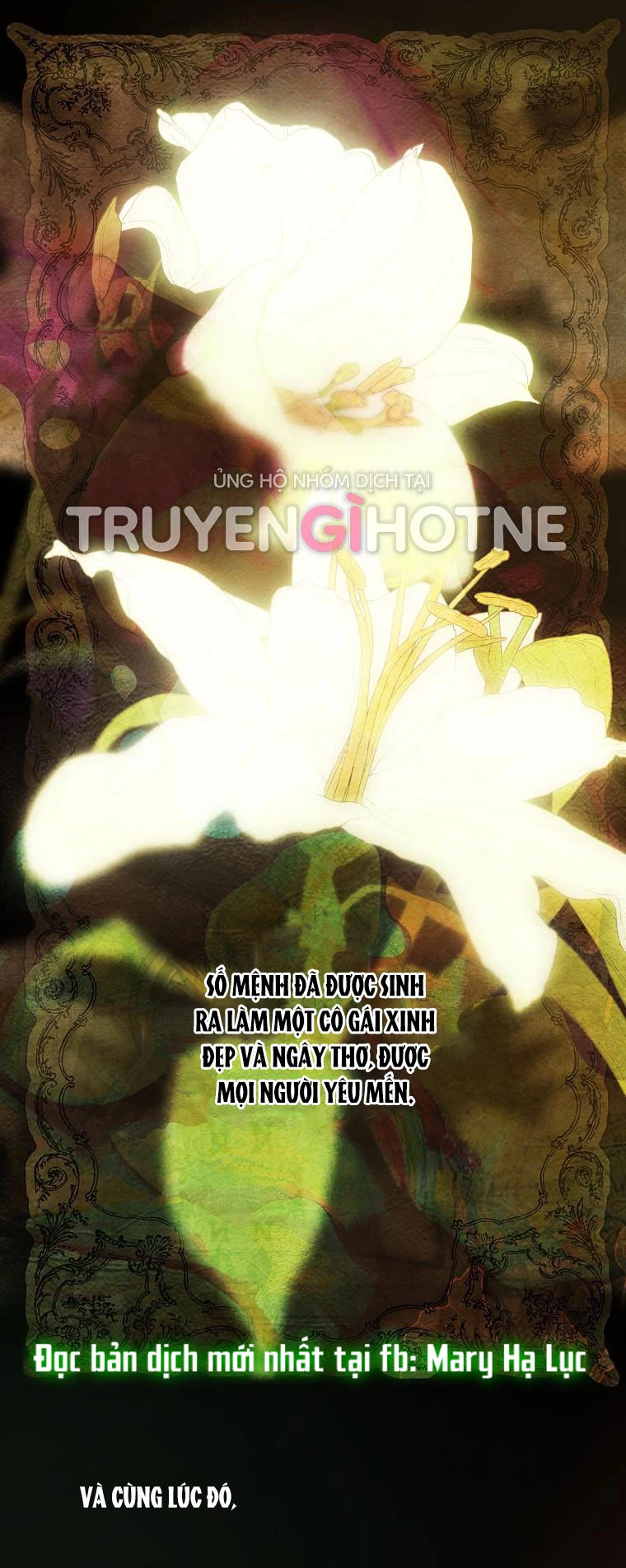 Quý Cô Bí Ẩn - Secret Lady Chapter 78.1 - 18