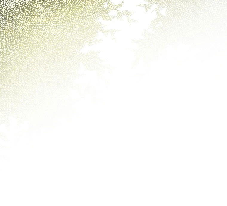 Quý Cô Bí Ẩn - Secret Lady Chapter 78.2 - 9