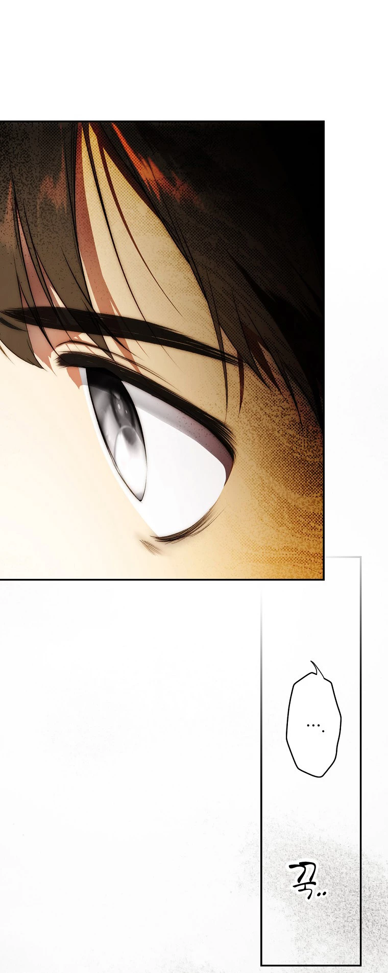 Quý Cô Bí Ẩn - Secret Lady Chapter 79.1 - 27