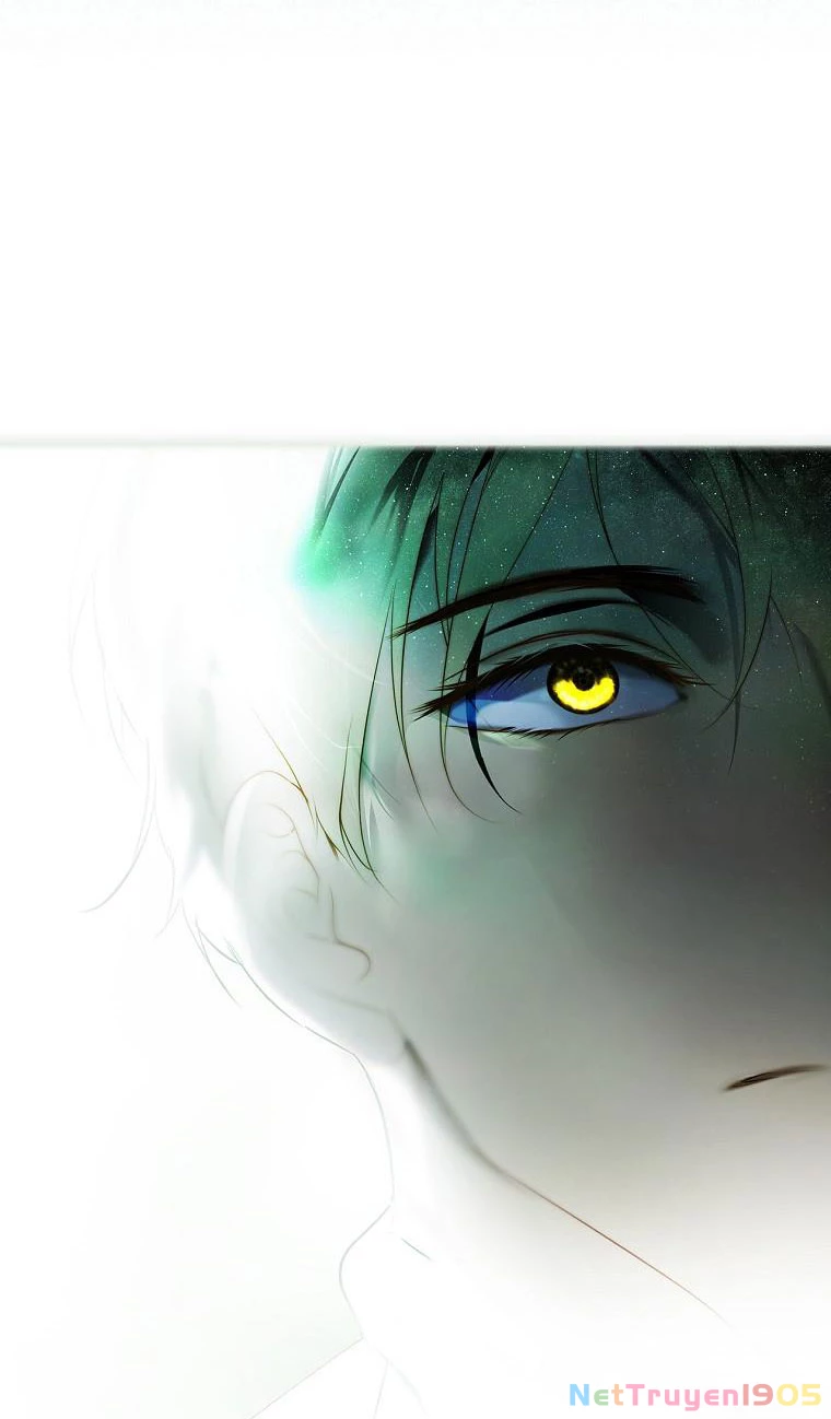 Quý Cô Bí Ẩn - Secret Lady Chapter 85.2 - 33