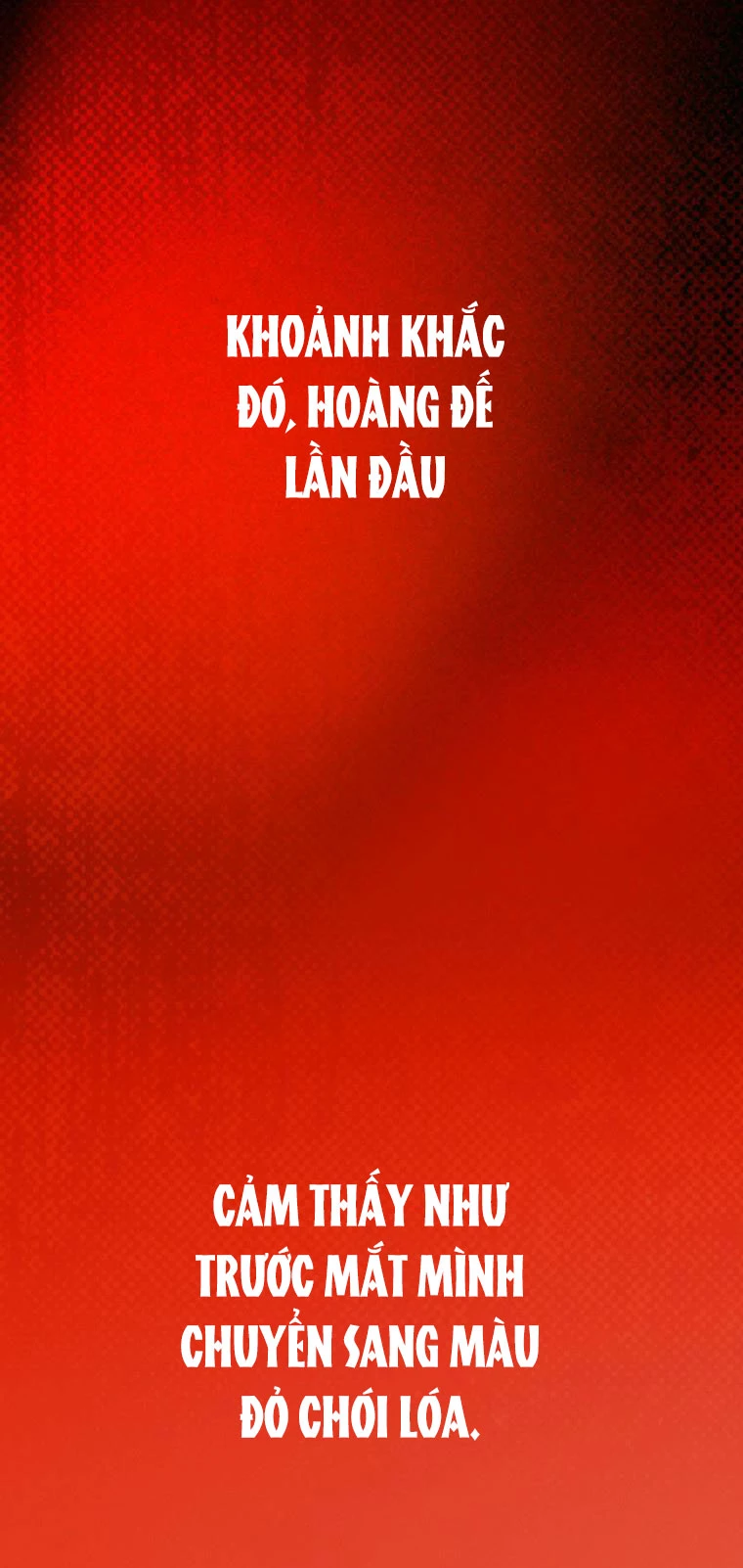 Quý Cô Bí Ẩn - Secret Lady Chapter 87.2 - 20