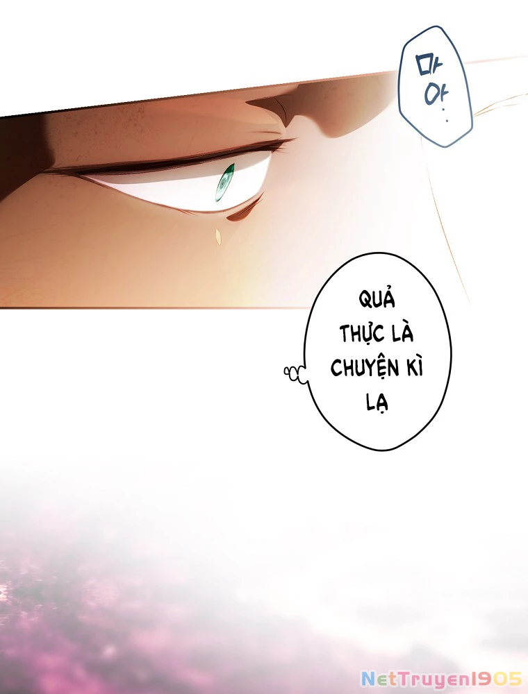 Quý Cô Bí Ẩn - Secret Lady Chapter 91.2 - 70