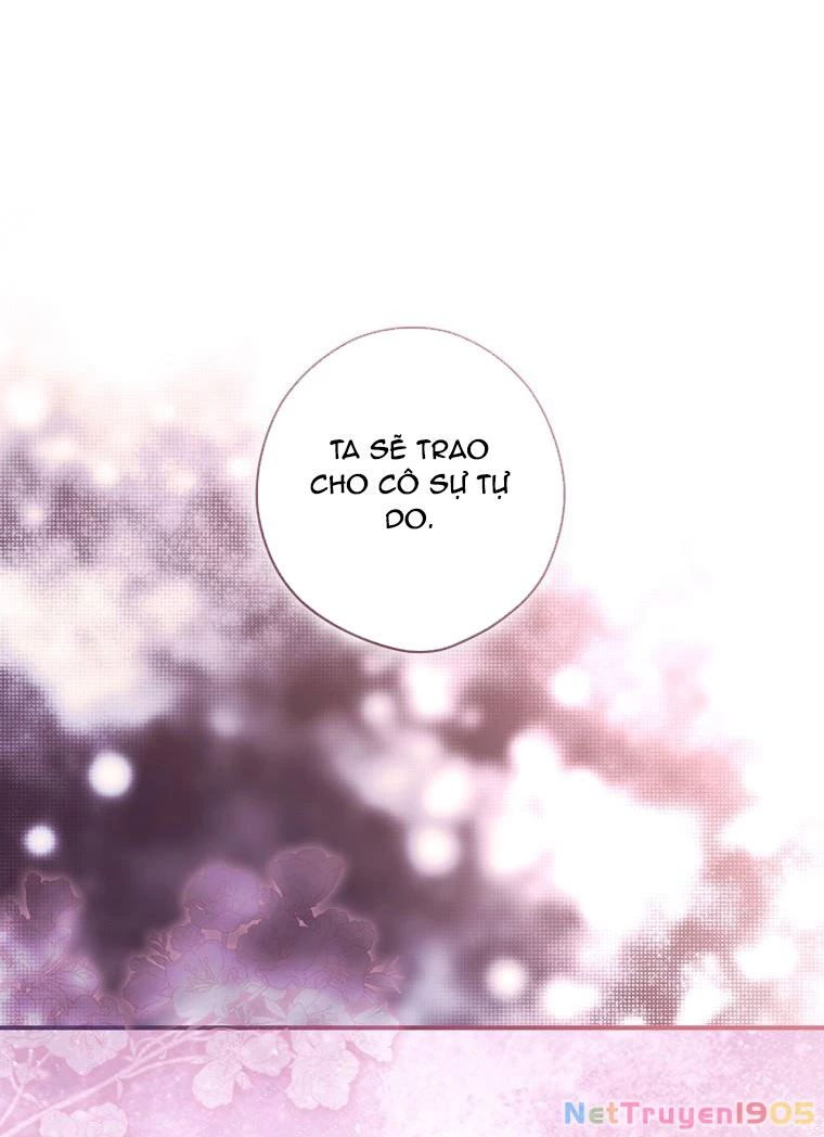 Quý Cô Bí Ẩn - Secret Lady Chapter 110 - 43