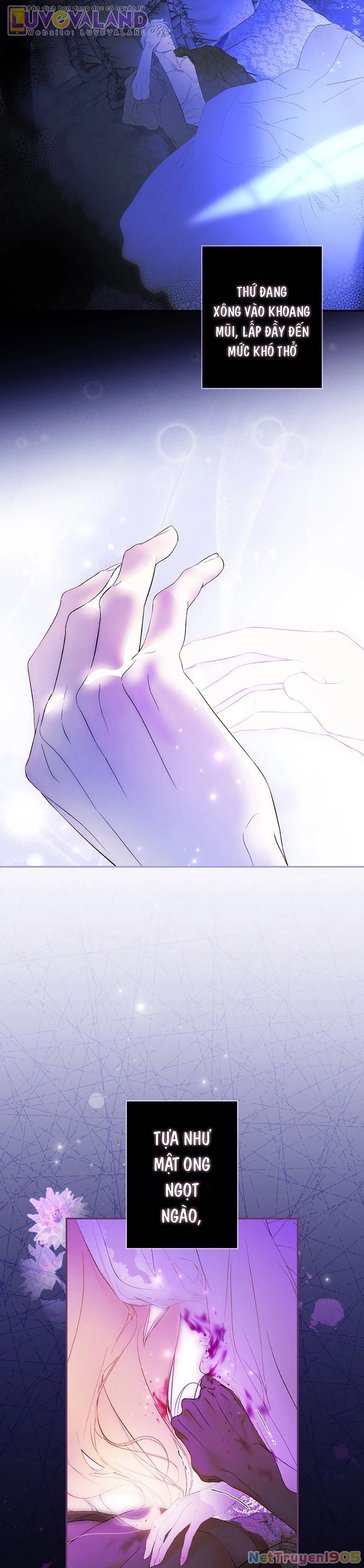 Quý Cô Bí Ẩn - Secret Lady Chapter 116 - 22