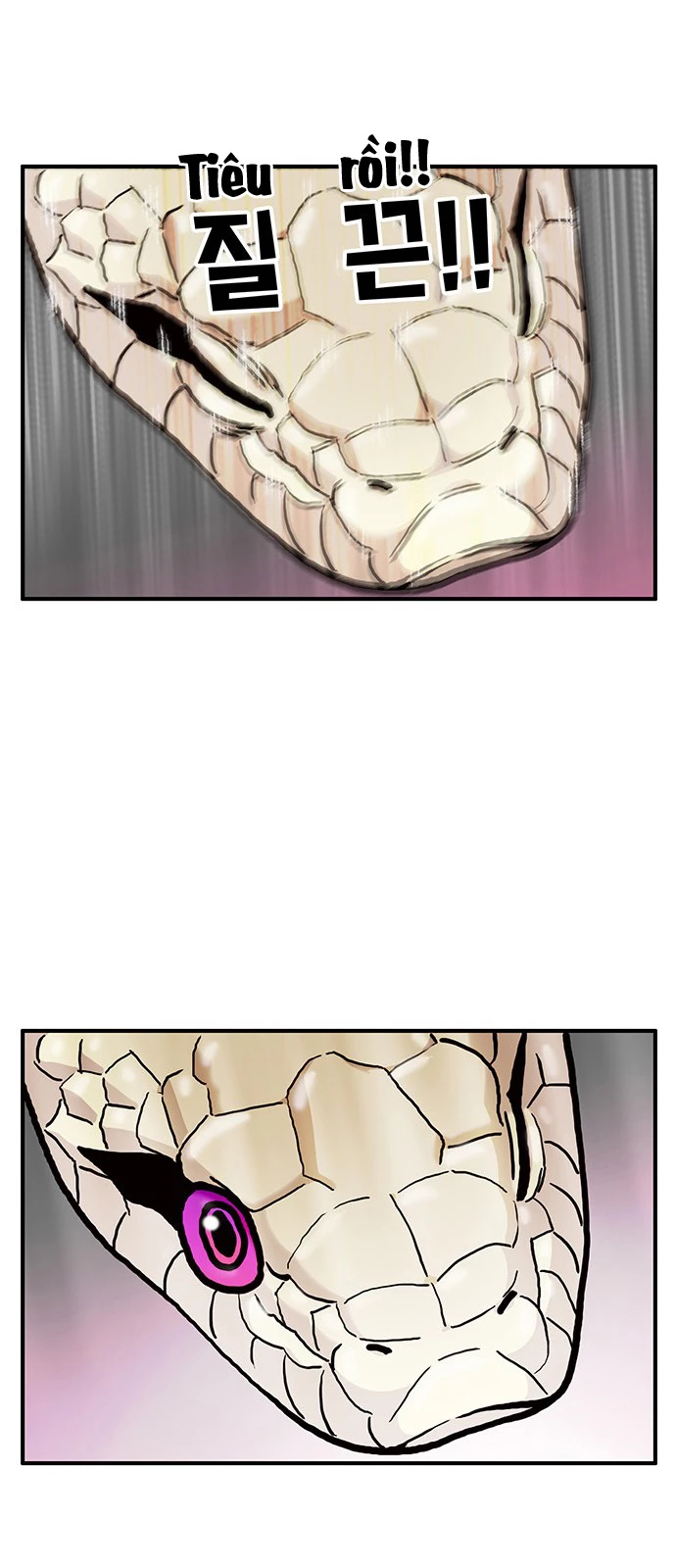 Chúa Tể Muôn Loài Chapter 13 - 12