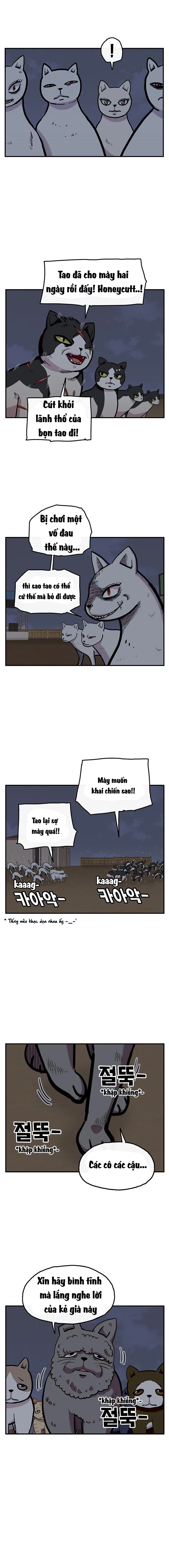 Chúa Tể Muôn Loài Chapter 25 - 12
