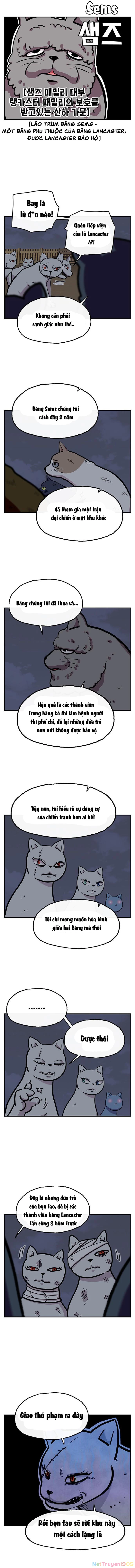 Chúa Tể Muôn Loài Chapter 25 - 13