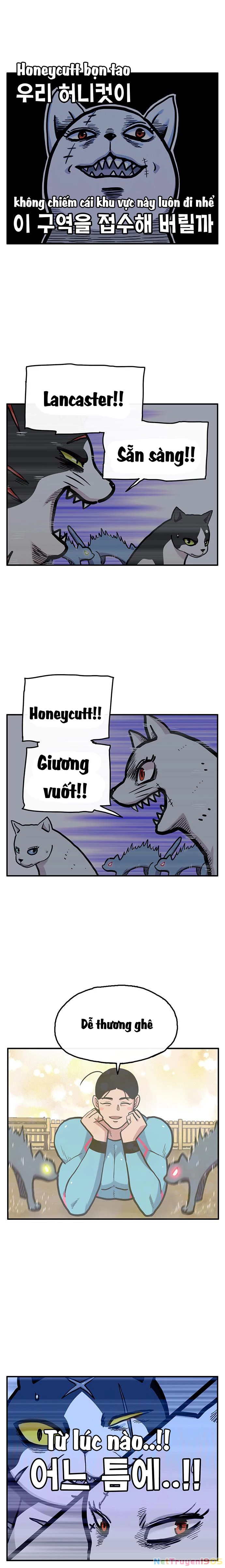 Chúa Tể Muôn Loài Chapter 25 - 16