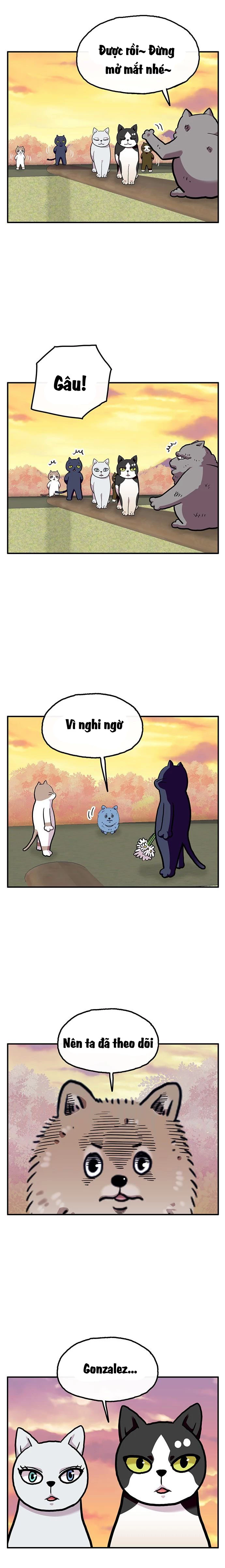 Chúa Tể Muôn Loài Chapter 26 - 20