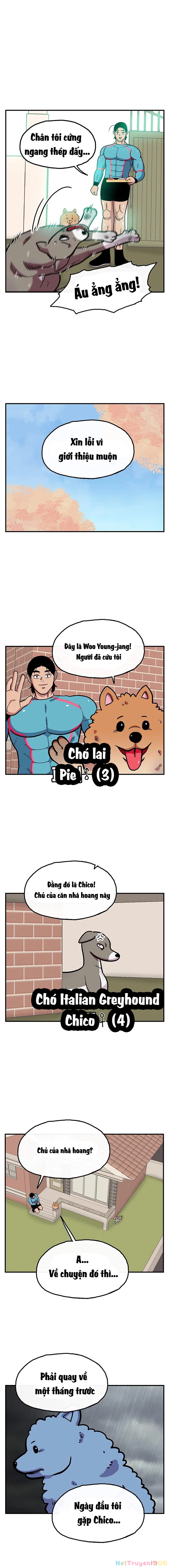 Chúa Tể Muôn Loài Chapter 30 - 9