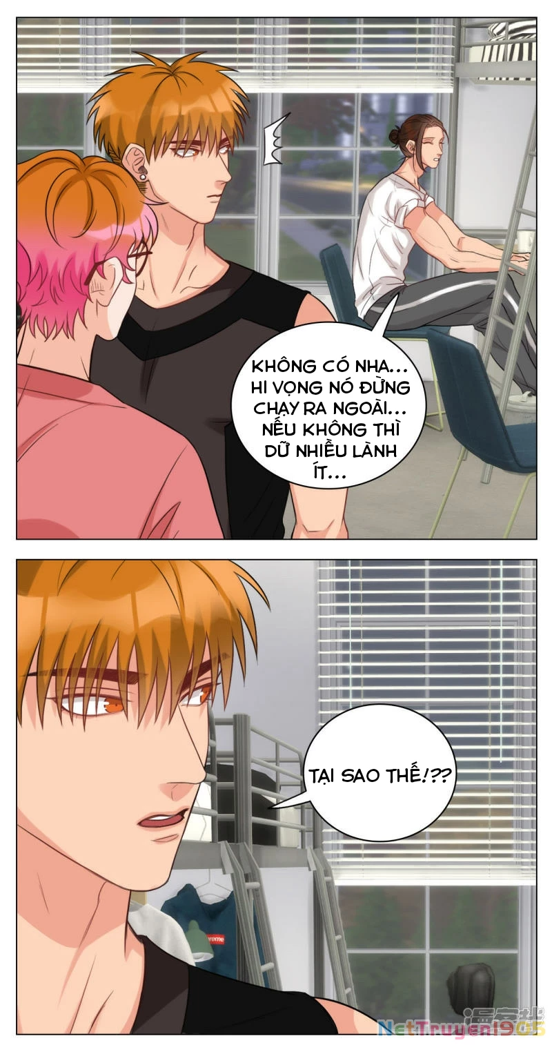 Ký Túc Xá Nam Phòng 303 Chapter 18 - 10