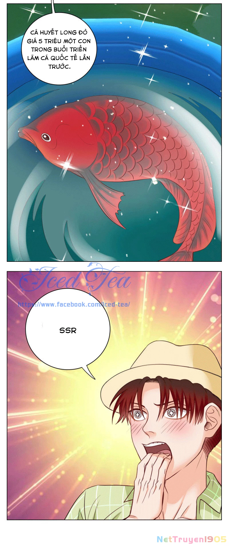 Ký Túc Xá Nam Phòng 303 Chapter 22 - 52