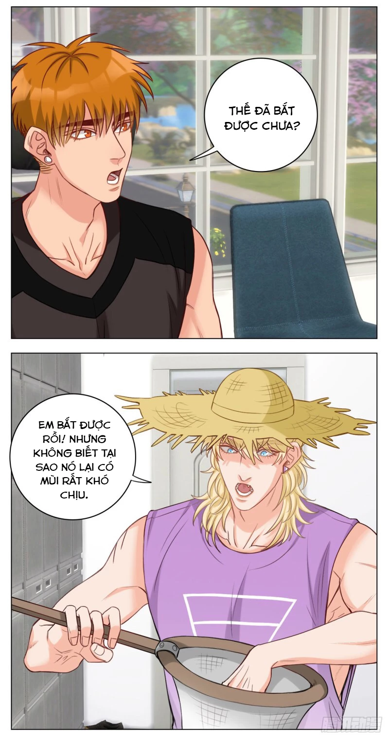 Ký Túc Xá Nam Phòng 303 Chapter 24 - 5