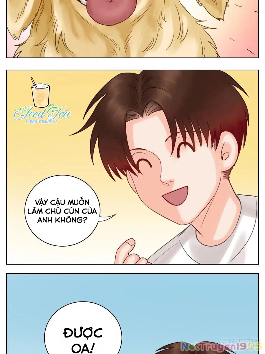 Ký Túc Xá Nam Phòng 303 Chapter 44 - 32